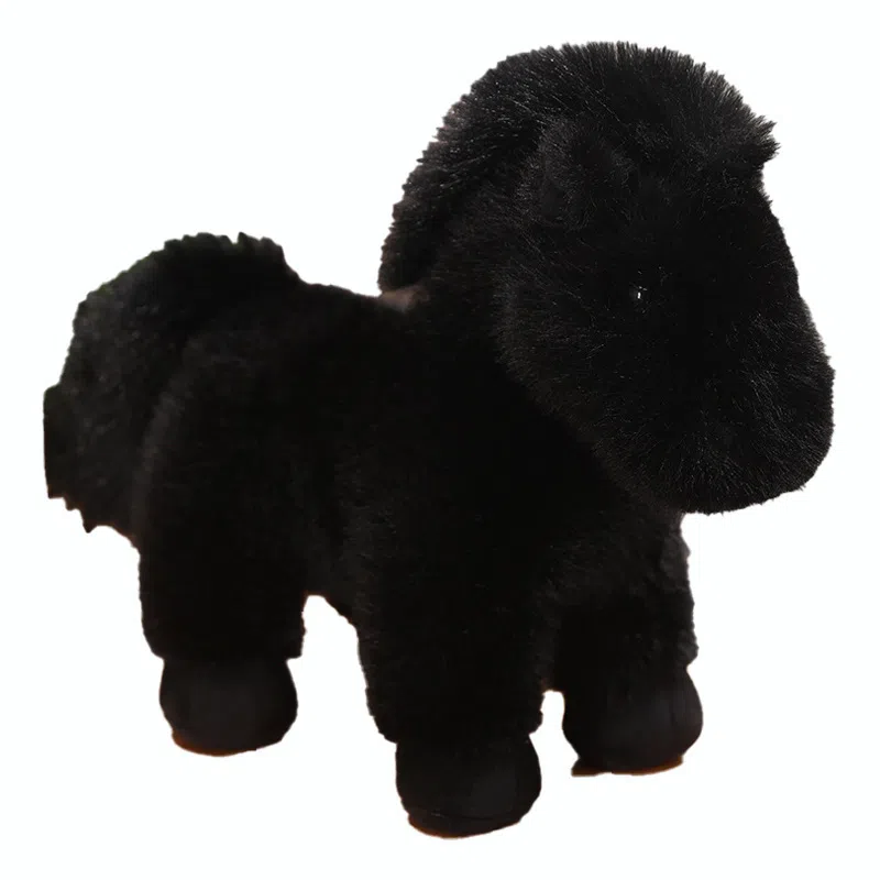 MORTEN SOLUM 23cm32cm