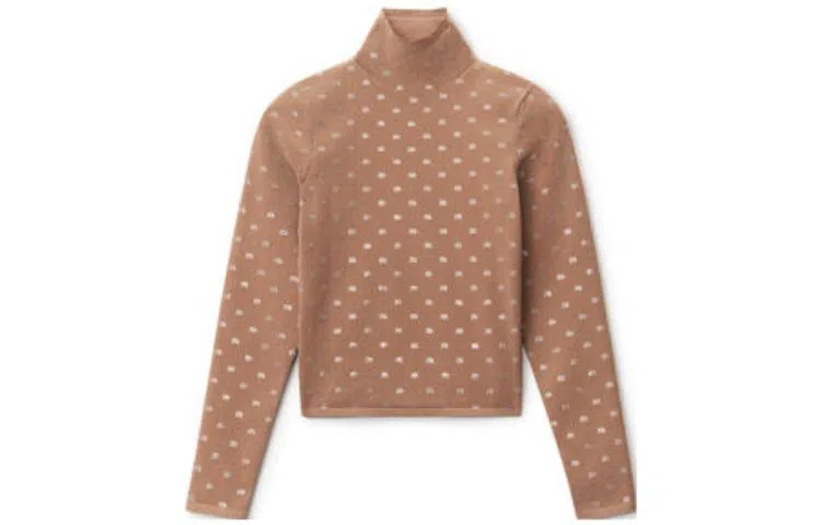 Alexander Wang FW22 Brown Turtleneck Top