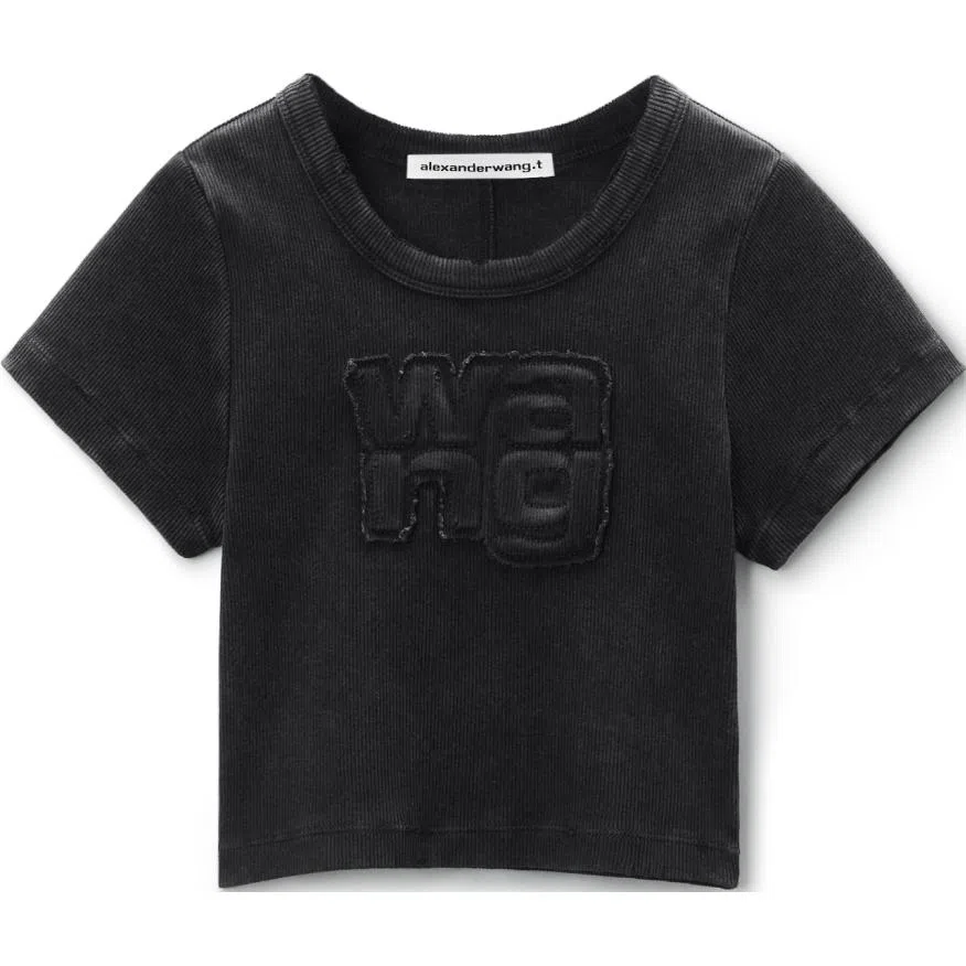 alexander wang FW24 T
