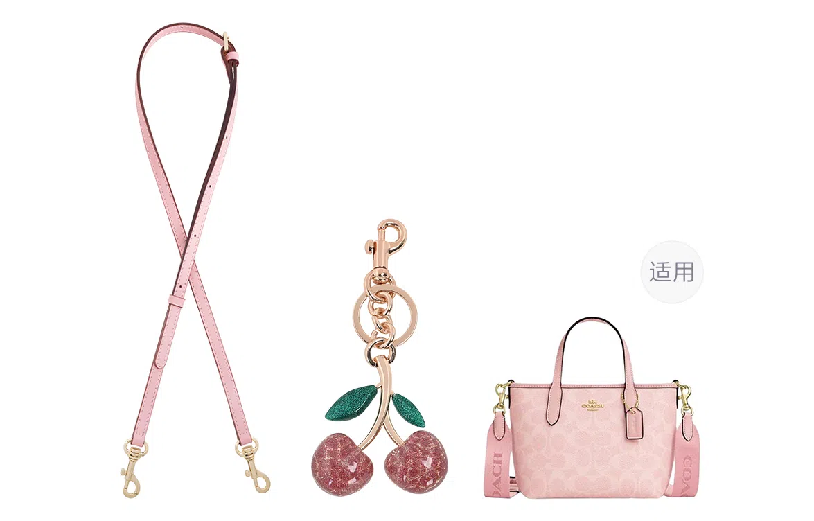 COACH city15 Tote mini