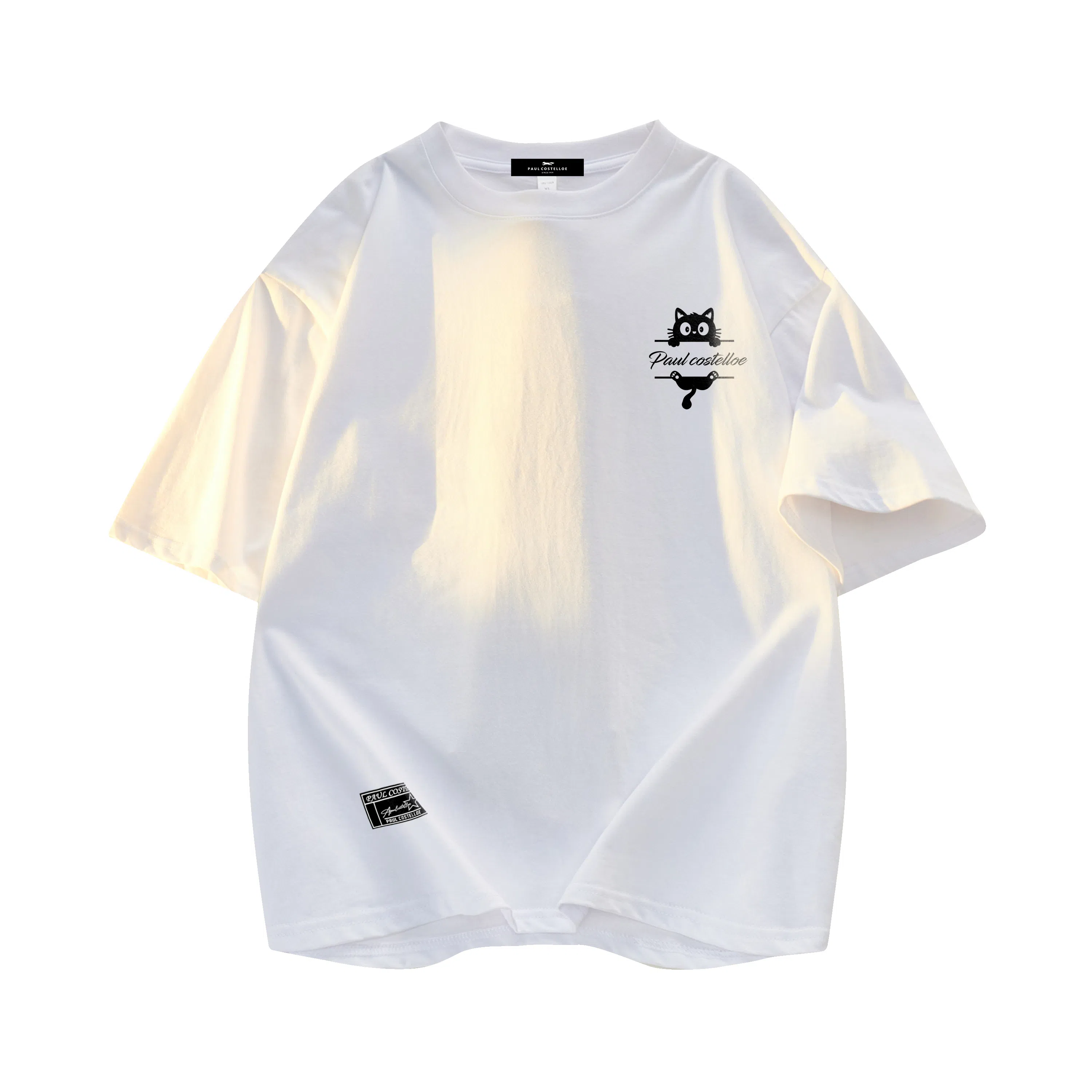 PAUL COSTELLOE LogoT