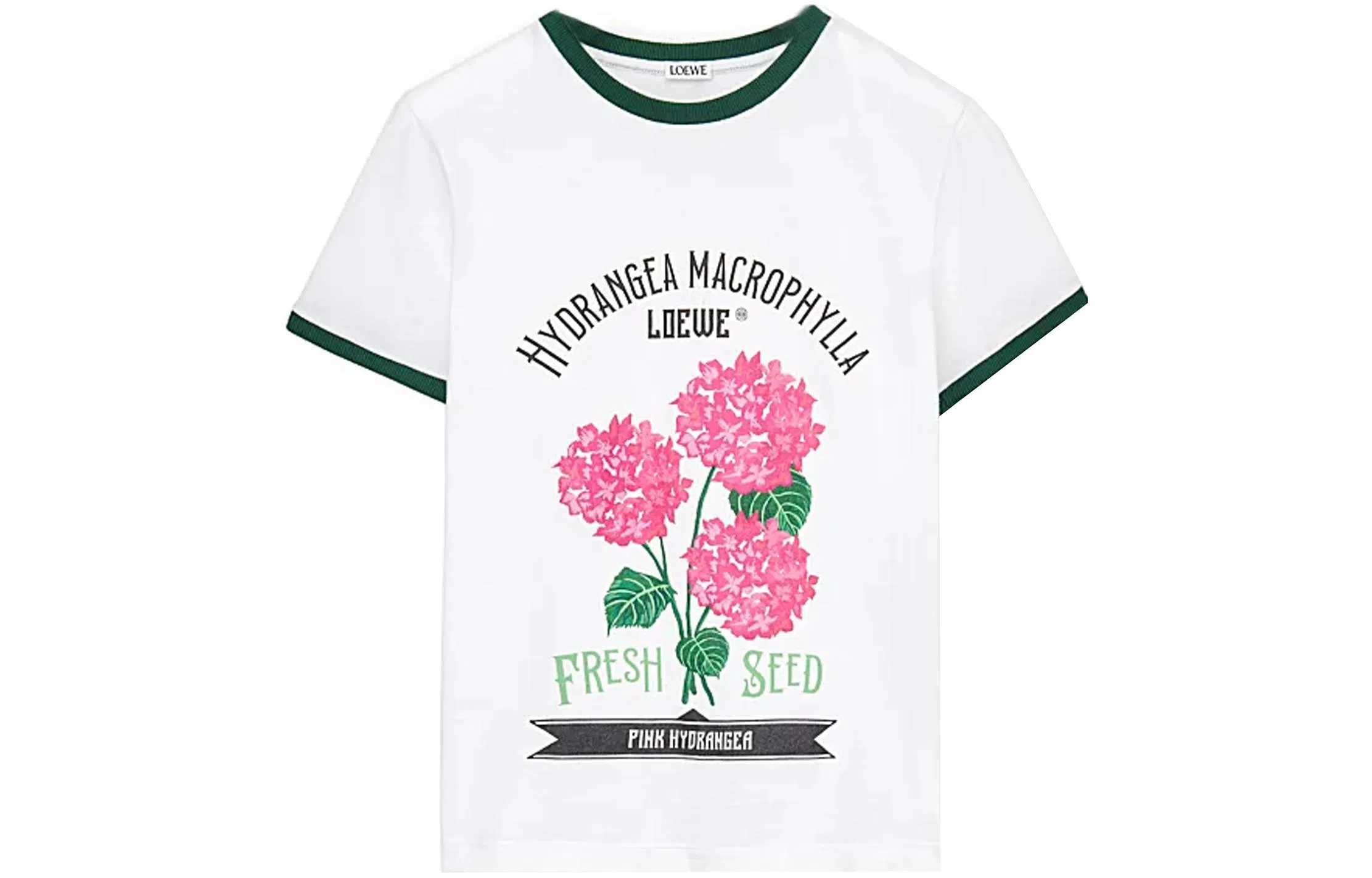 LOEWE SS23 Colorblock Logo Floral T-Shirt White