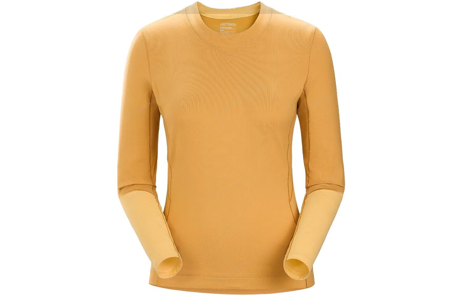 Arcteryx Rho Lt Logo T