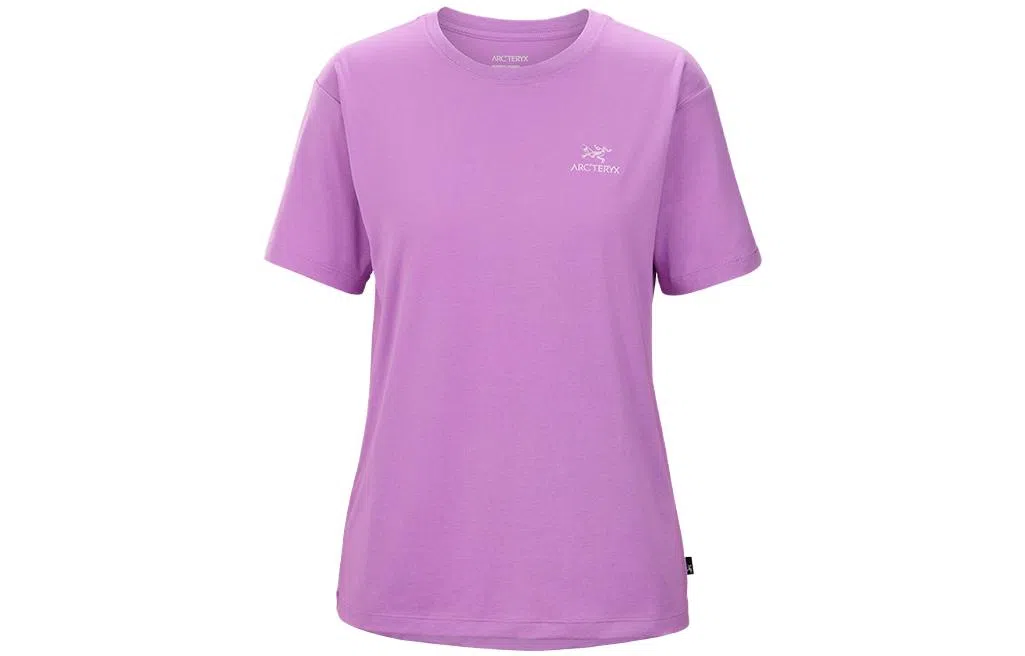 Arcteryx ARC ' LOGO EMBLEM Emblem T