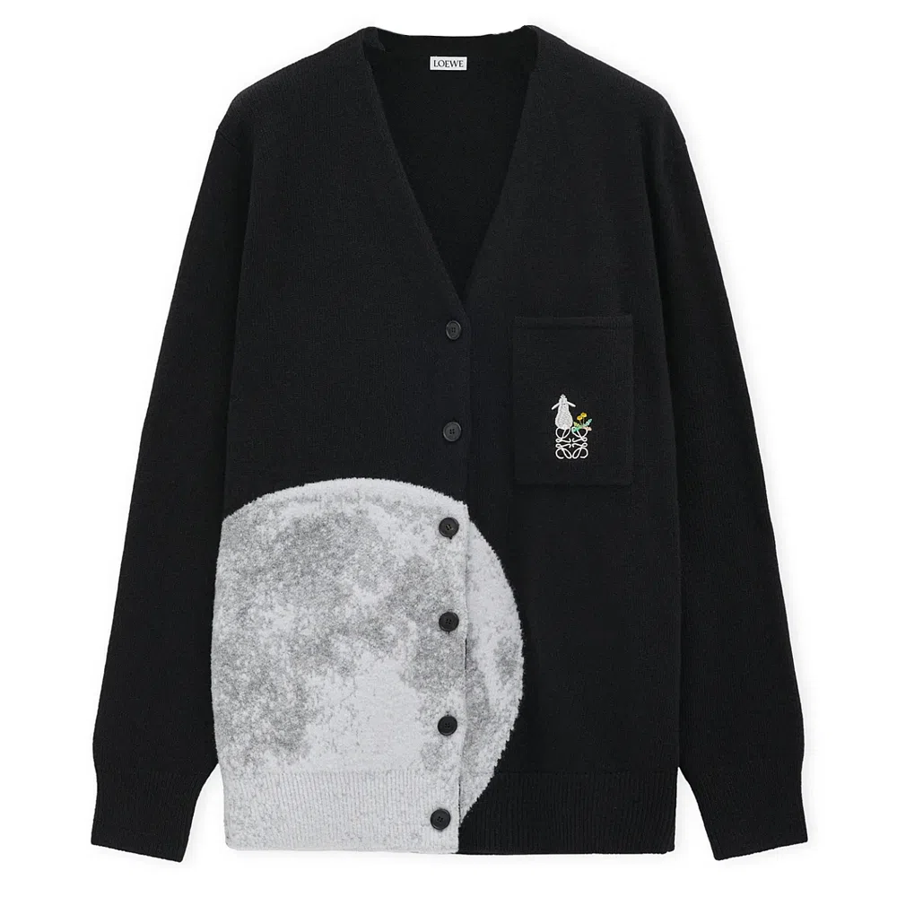 LOEWE x Suna Fujita FW24 V