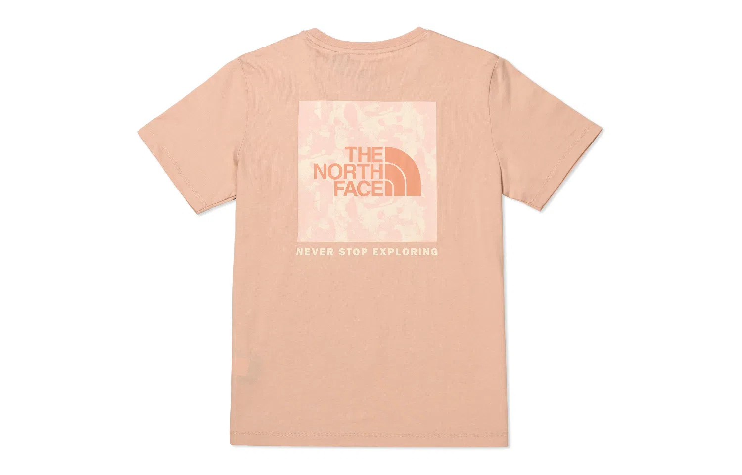 THE NORTH FACE SS23 Logo T