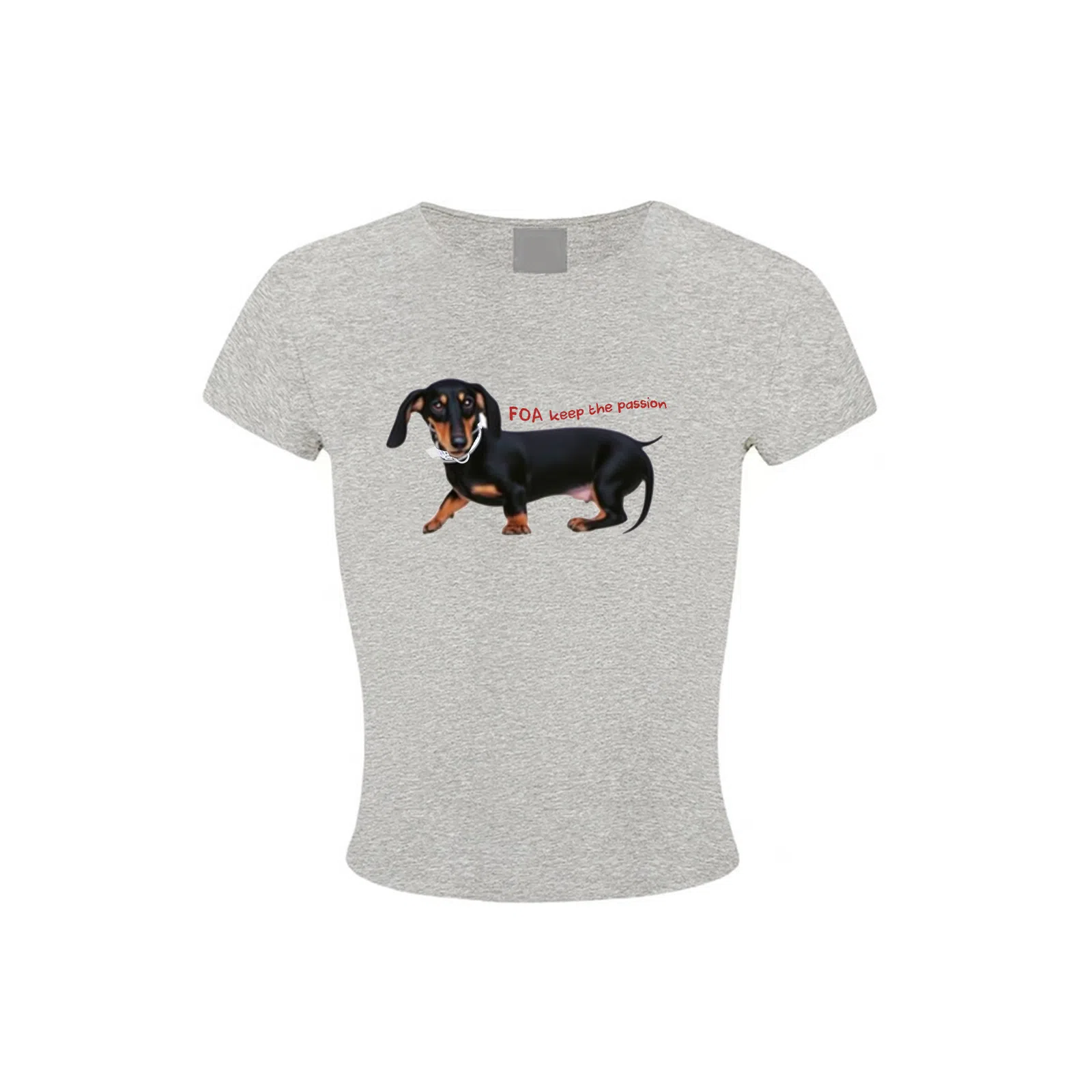 FOASIS T