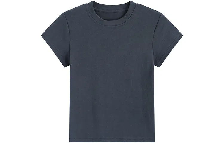 SNZX T