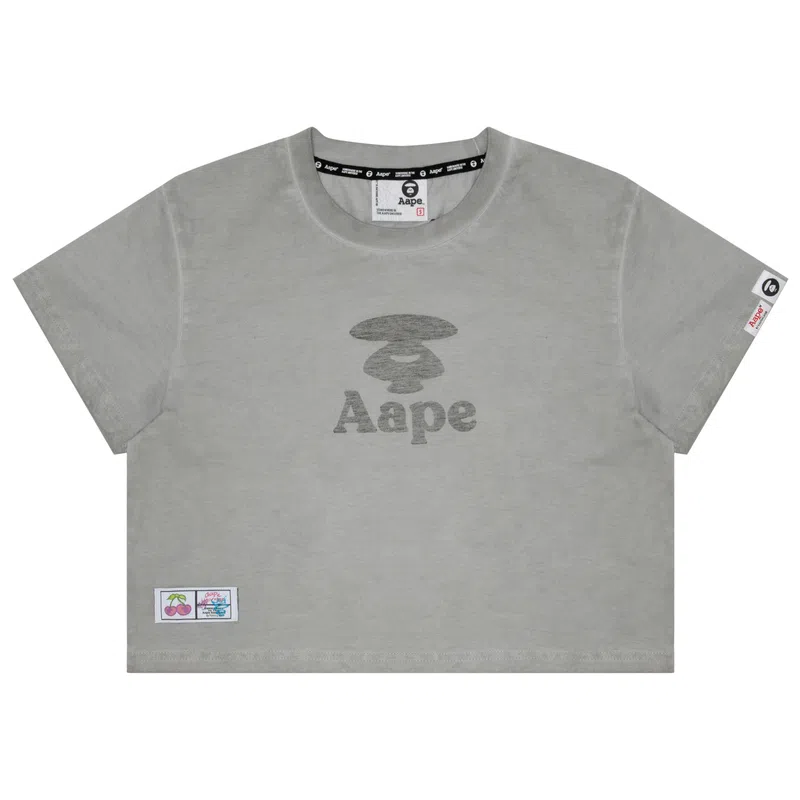 Aape T