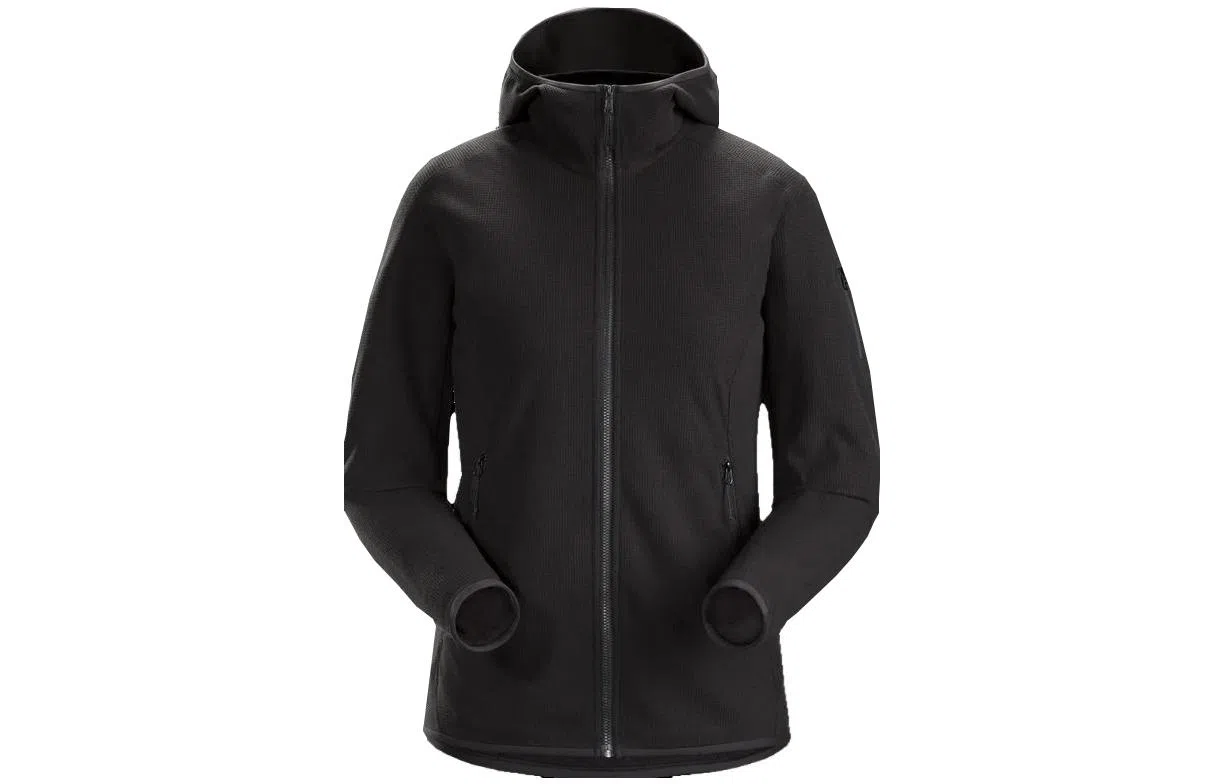 Arcteryx Delta Lt Hoody