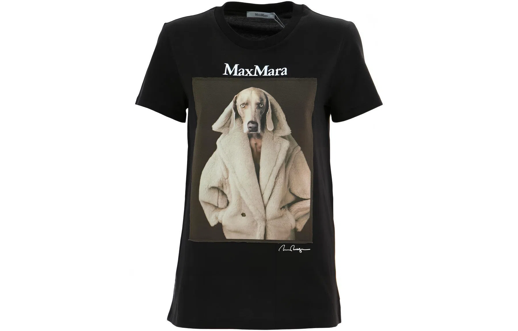 MaxMara T