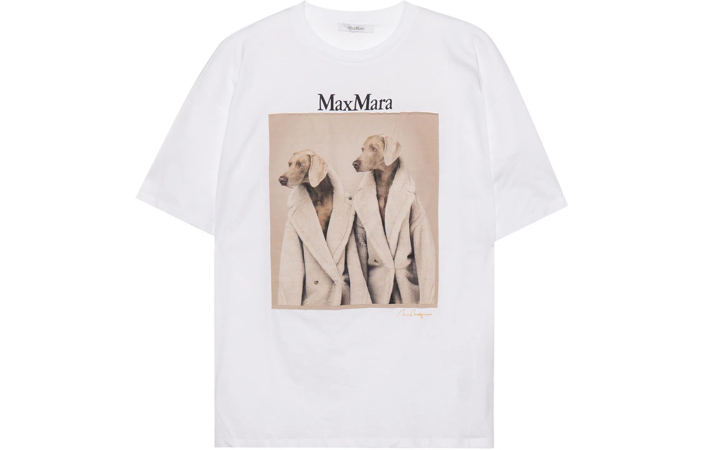 MaxMara T