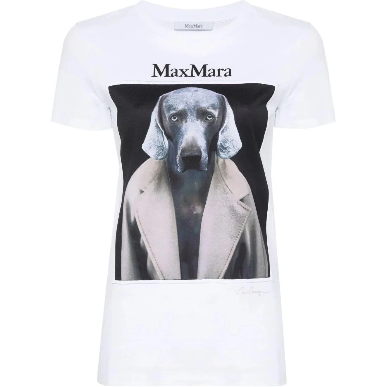 MaxMara T