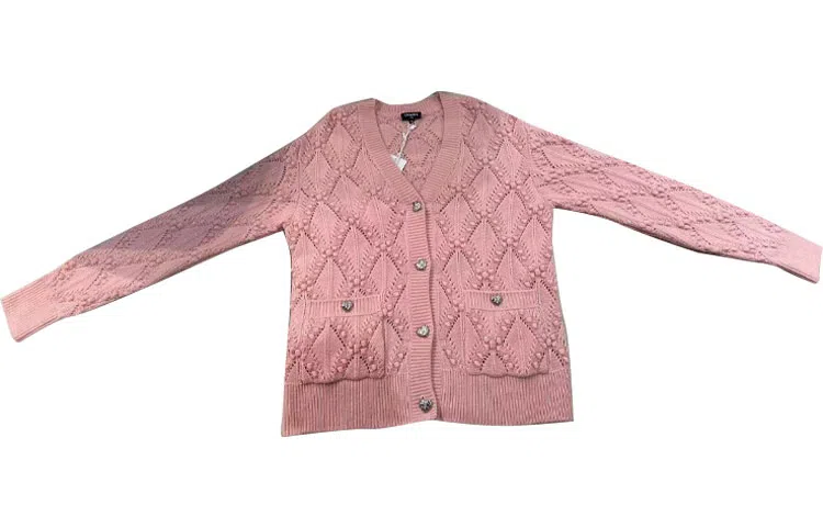 CHANEL V