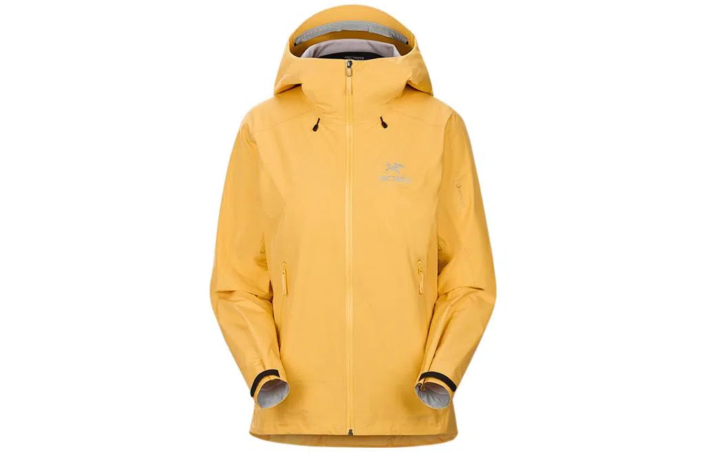 Arcteryx Beta LT Jacket