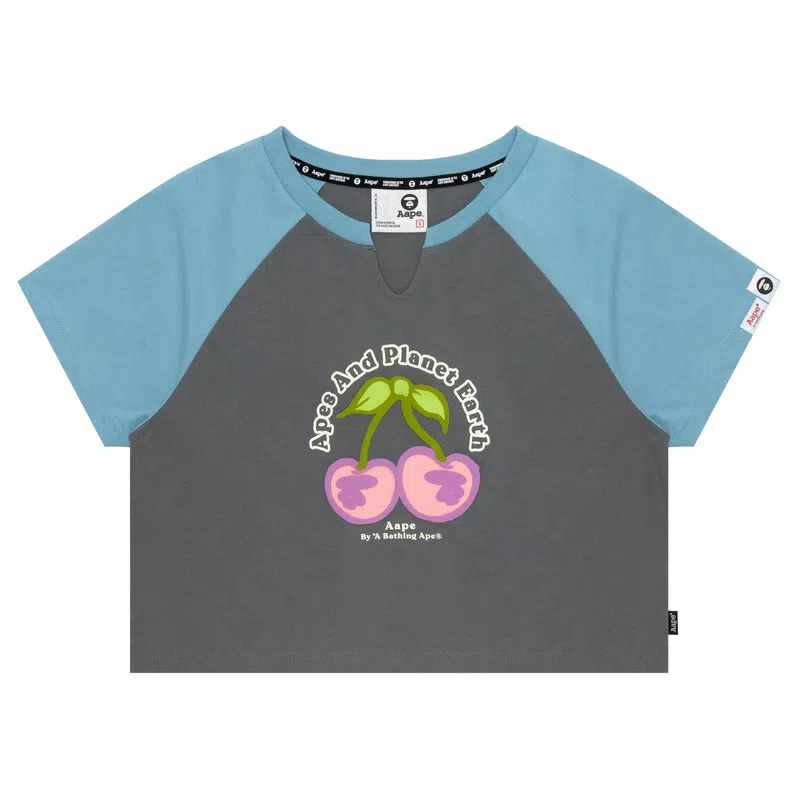 Aape T
