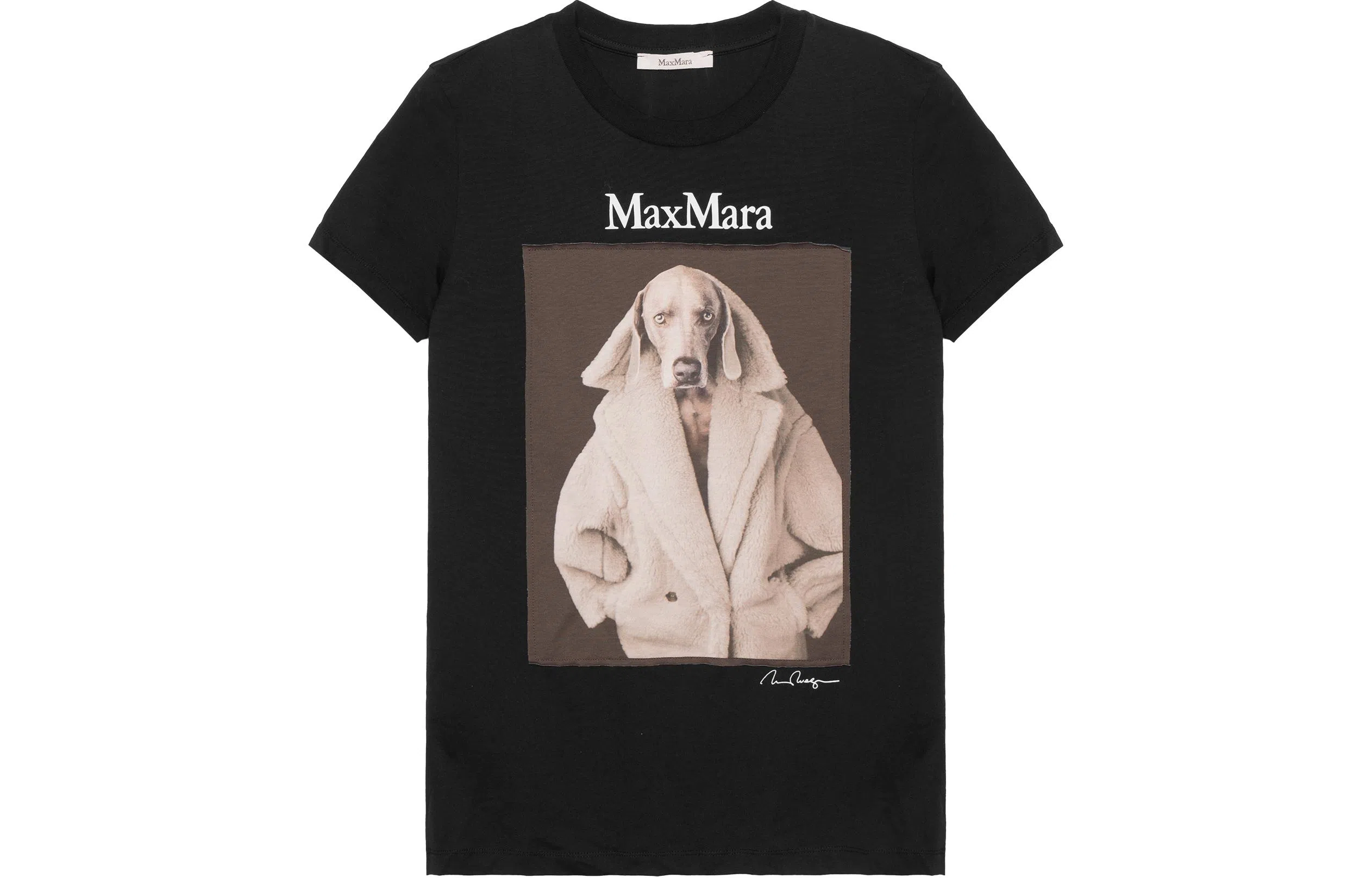 MaxMara T