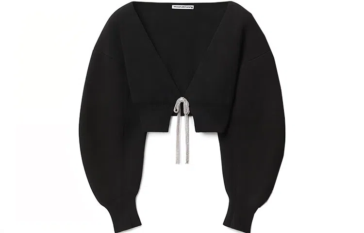 alexander wang SS23 V