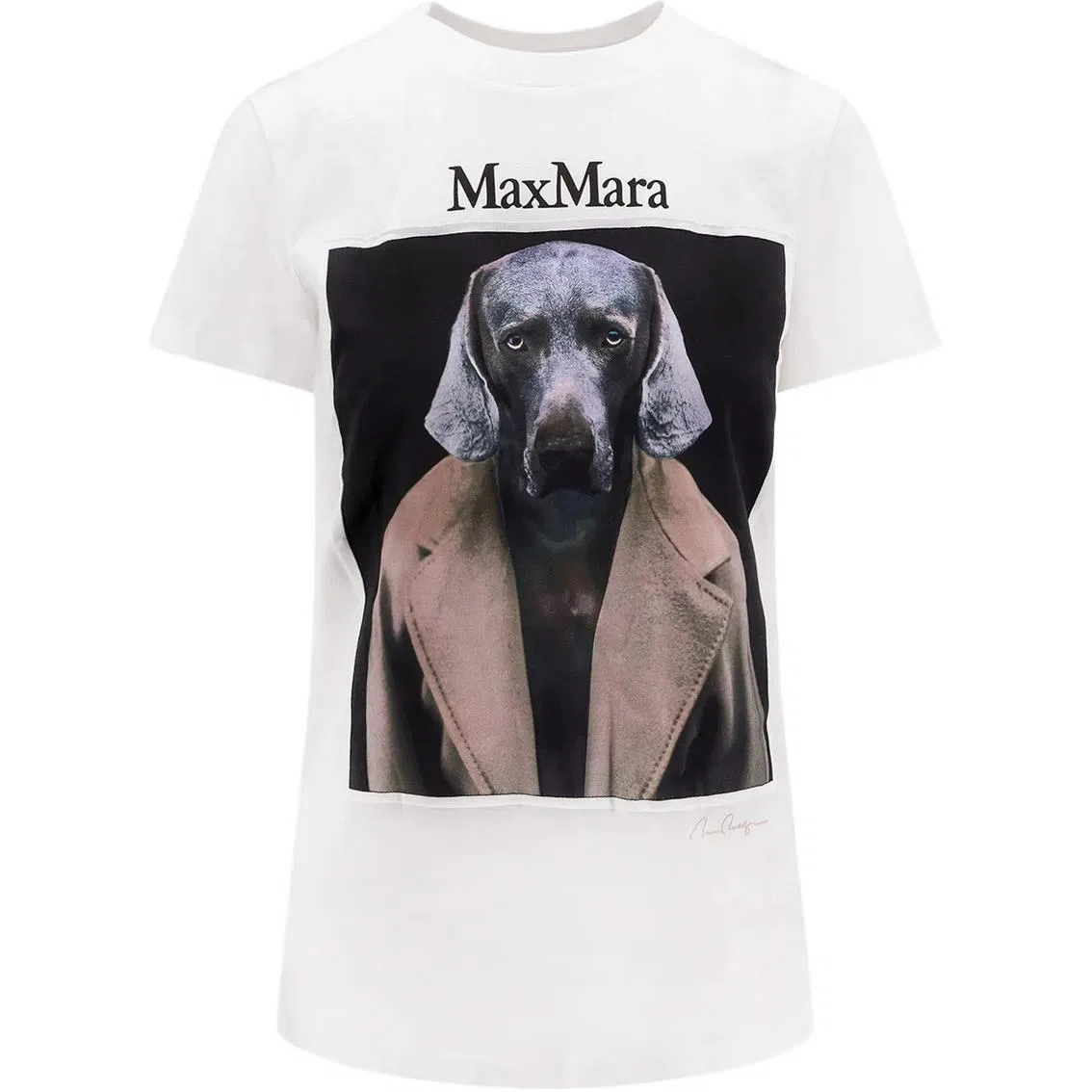 MaxMara T