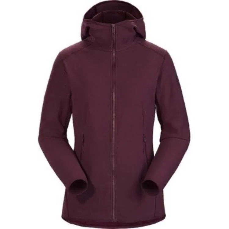 Arcteryx Delta Lt Hoody