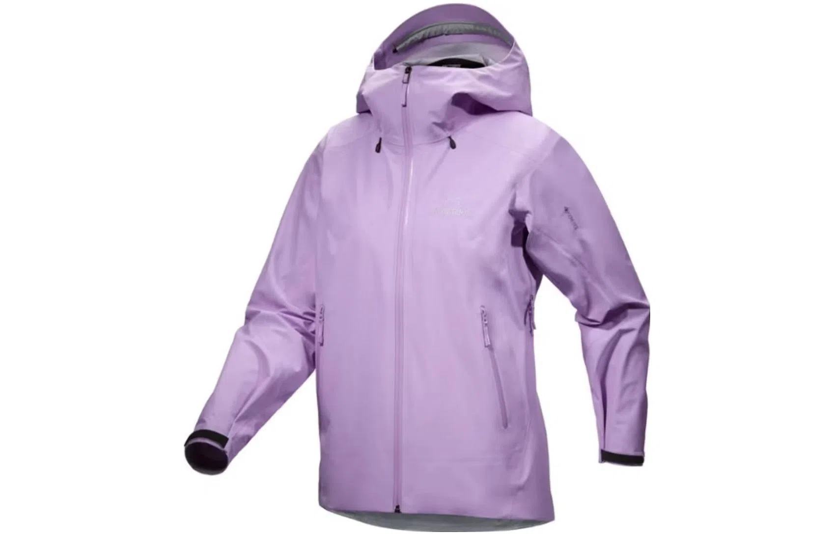 Arcteryx Beta LT Jacket
