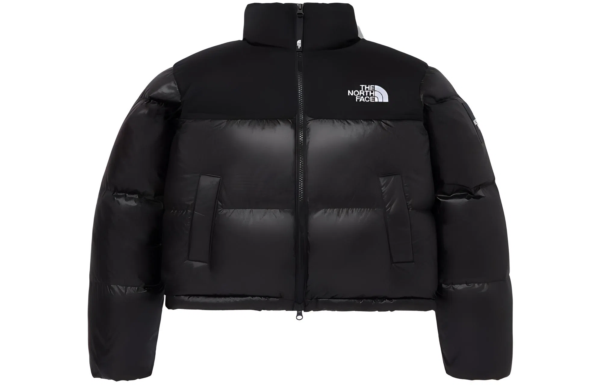 THE NORTH FACE W's Novelty Nuptse Down Jacket