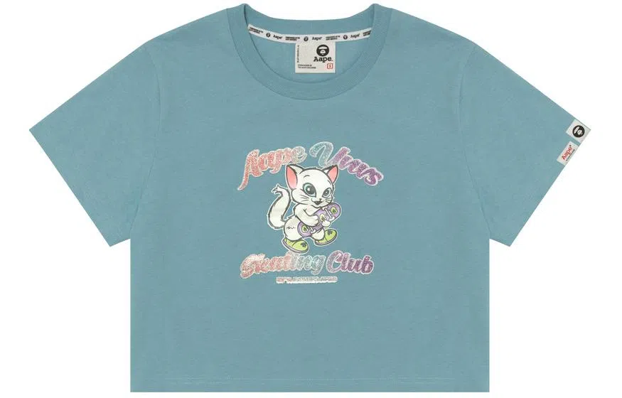 Aape T