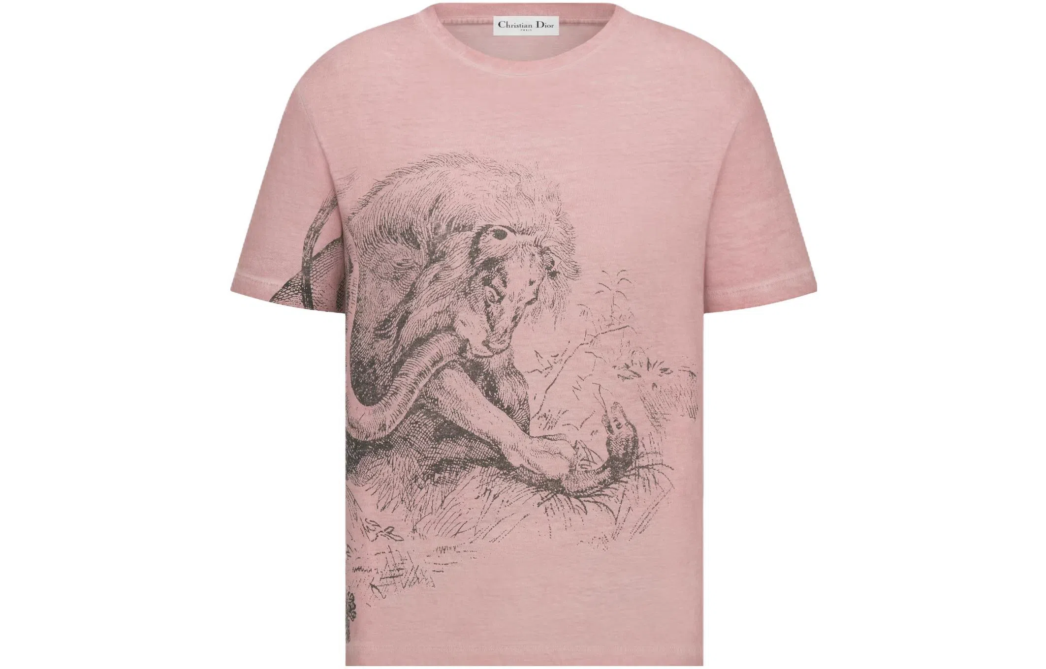 DIOR SS23 T