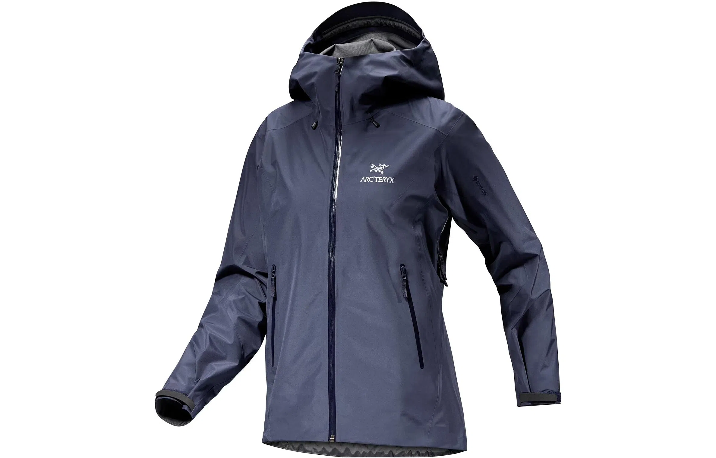 Arcteryx Beta LT Jacket