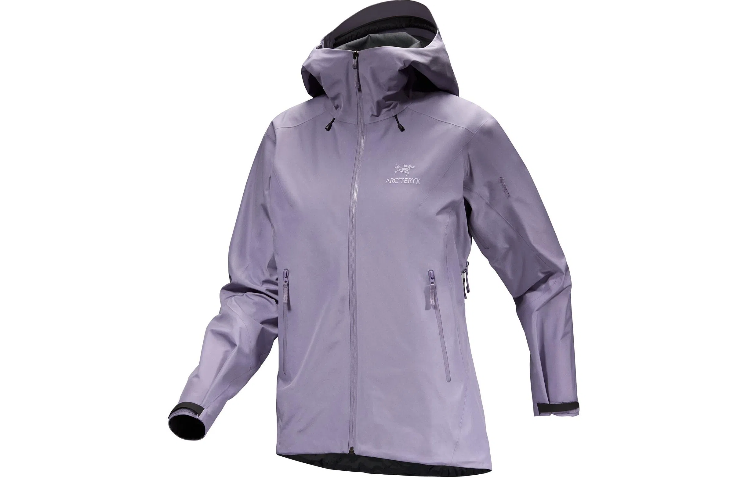 Arcteryx Beta LT Jacket