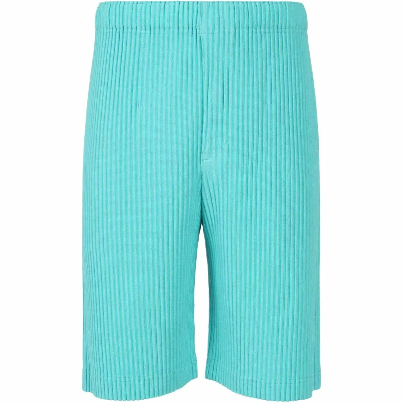 Homme Pliss Issey Miyake