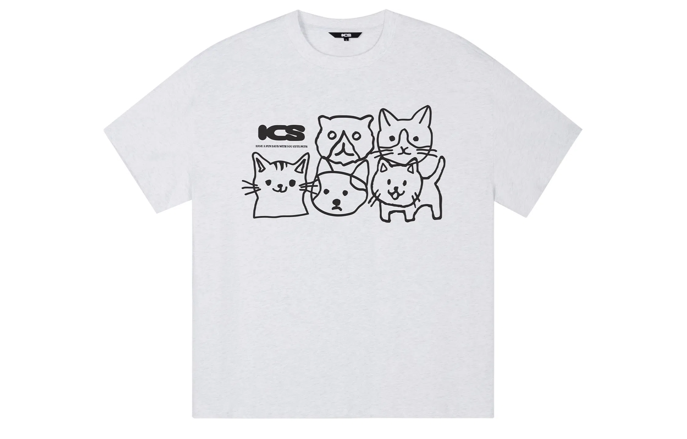 ICONS Lab ICS T