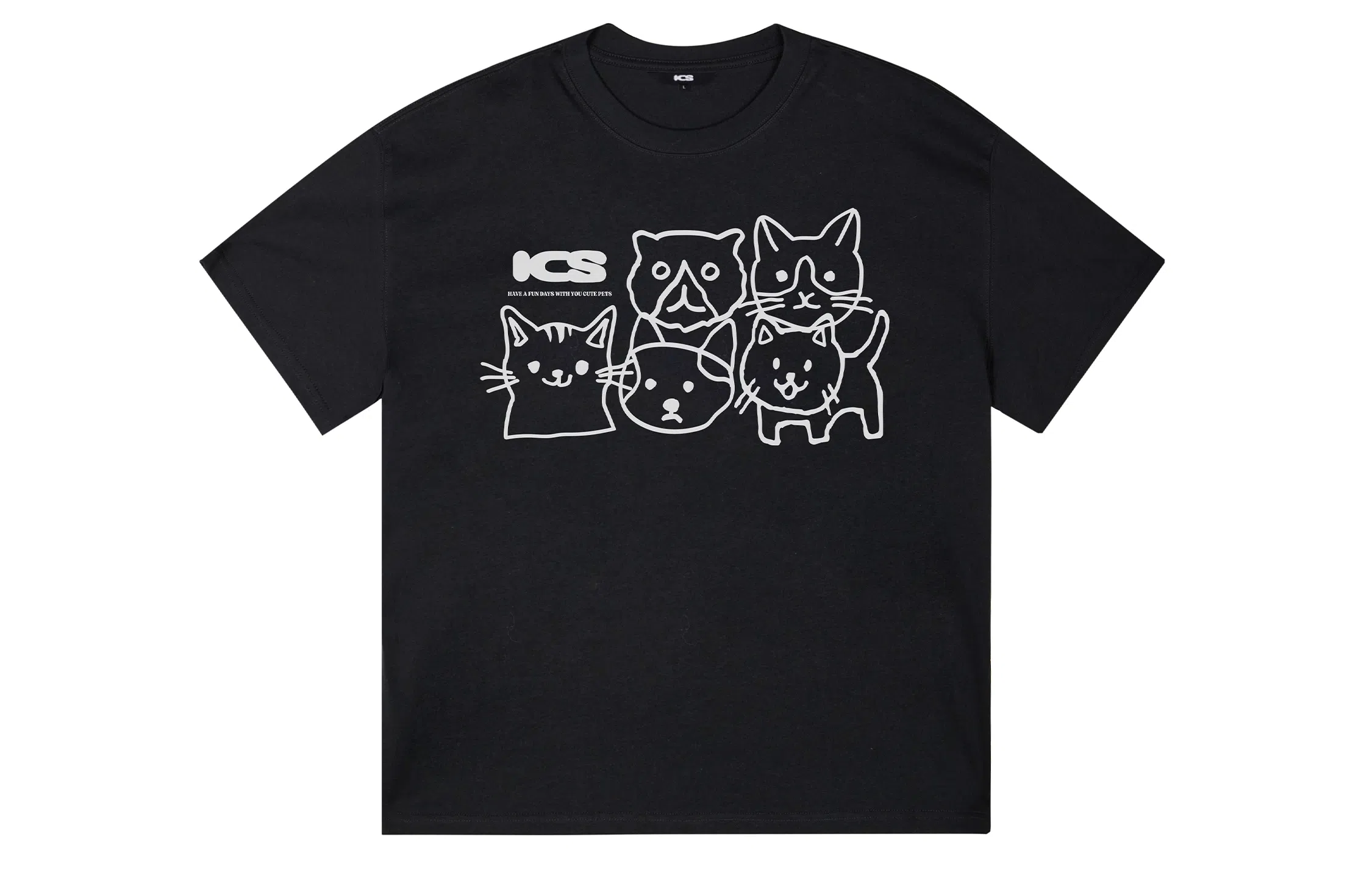 ICONS Lab ICS T