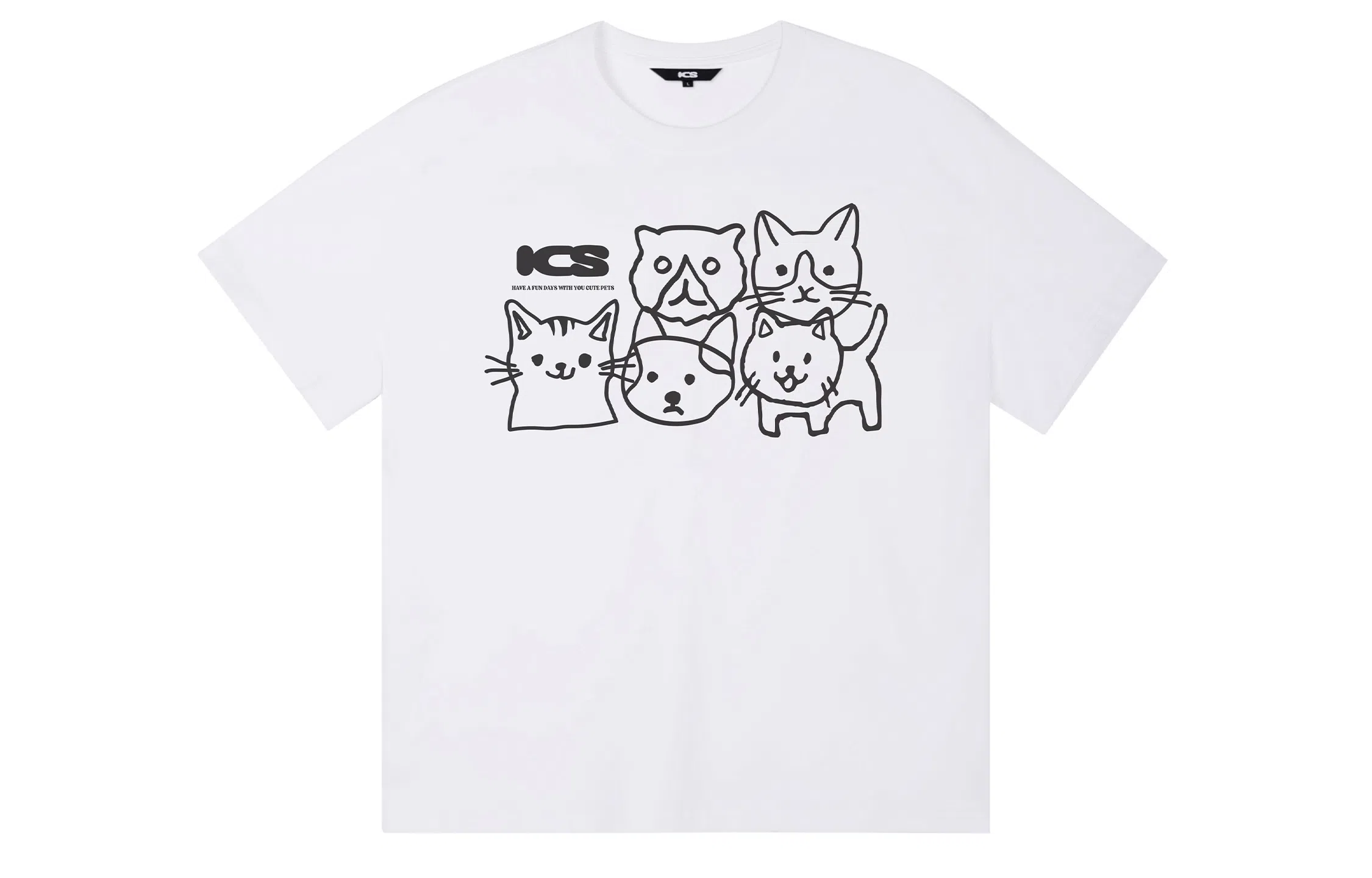 ICONS Lab ICS T