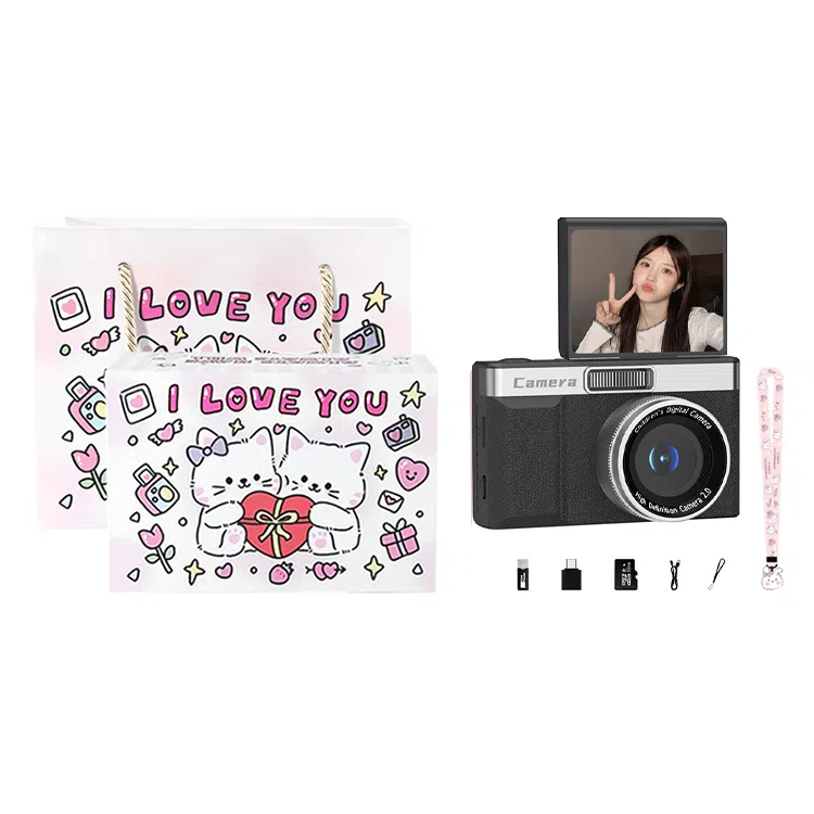 HEY CAT'S DAILY Z08 96008 4k ccdvlog