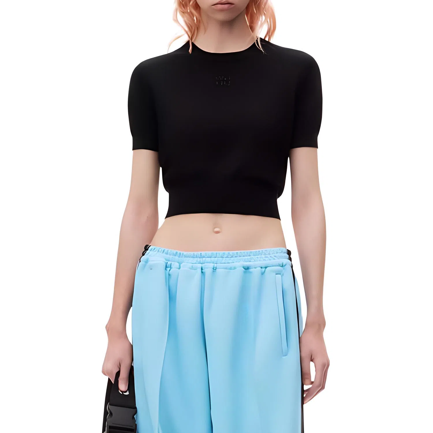 alexander wang FW24 T