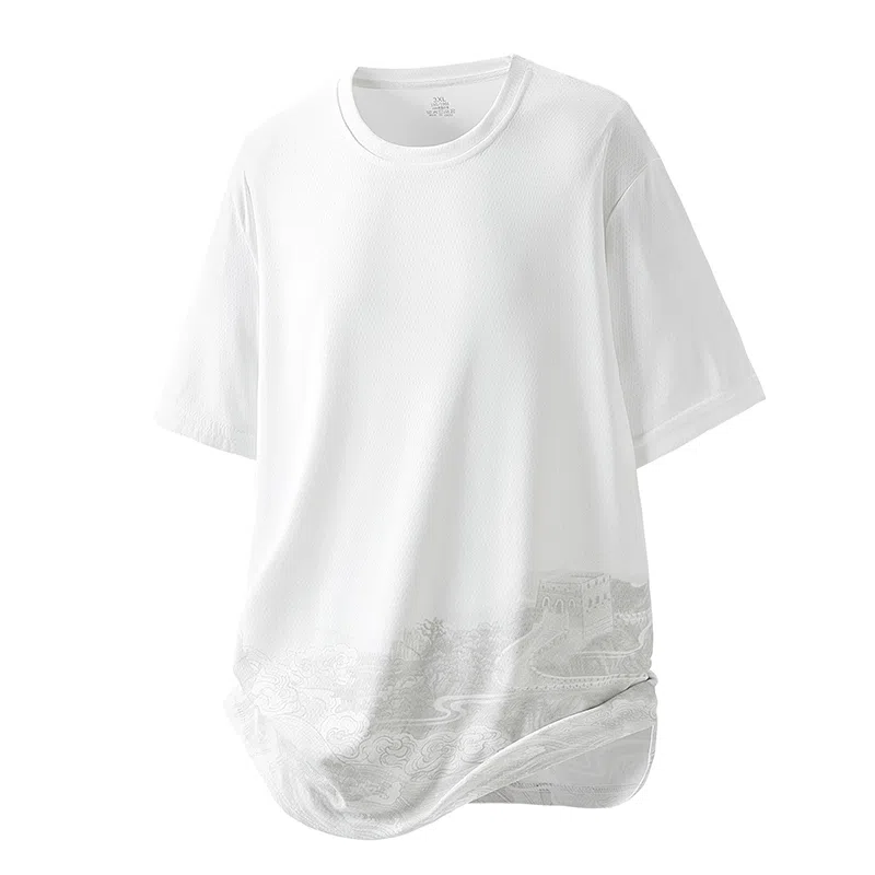 LISENPOK T