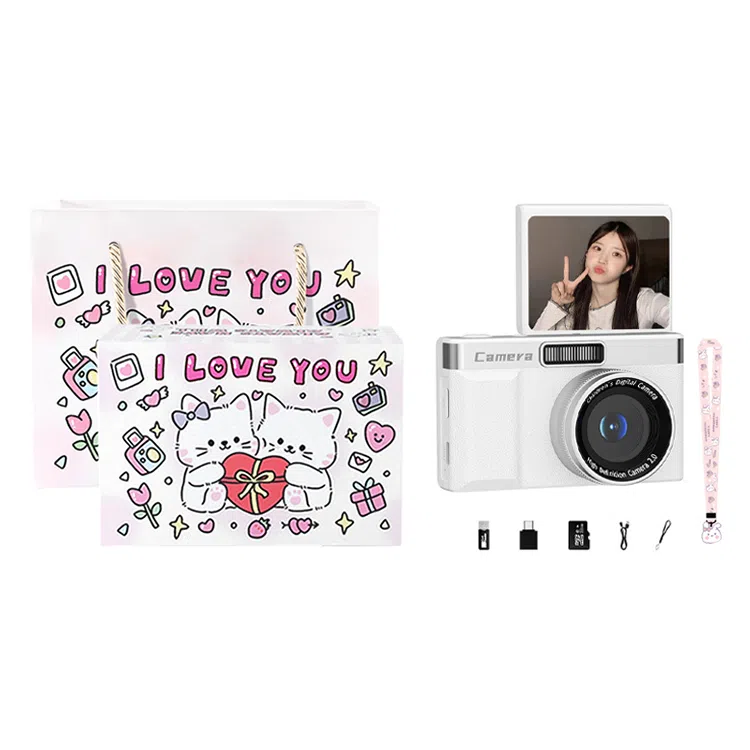 HEY CAT'S DAILY Z08 96008 4k ccdvlog