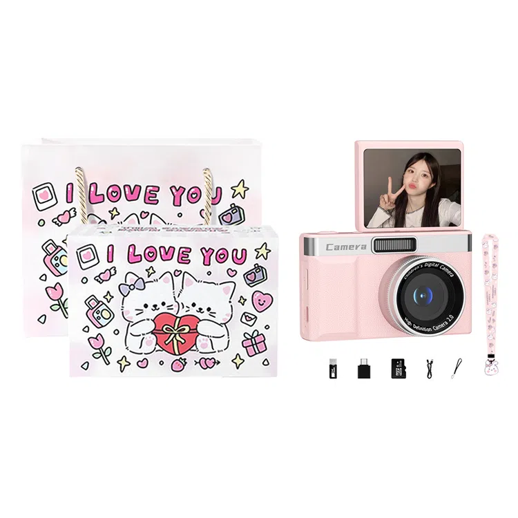 HEY CAT'S DAILY Z08 96008 4k ccdvlog