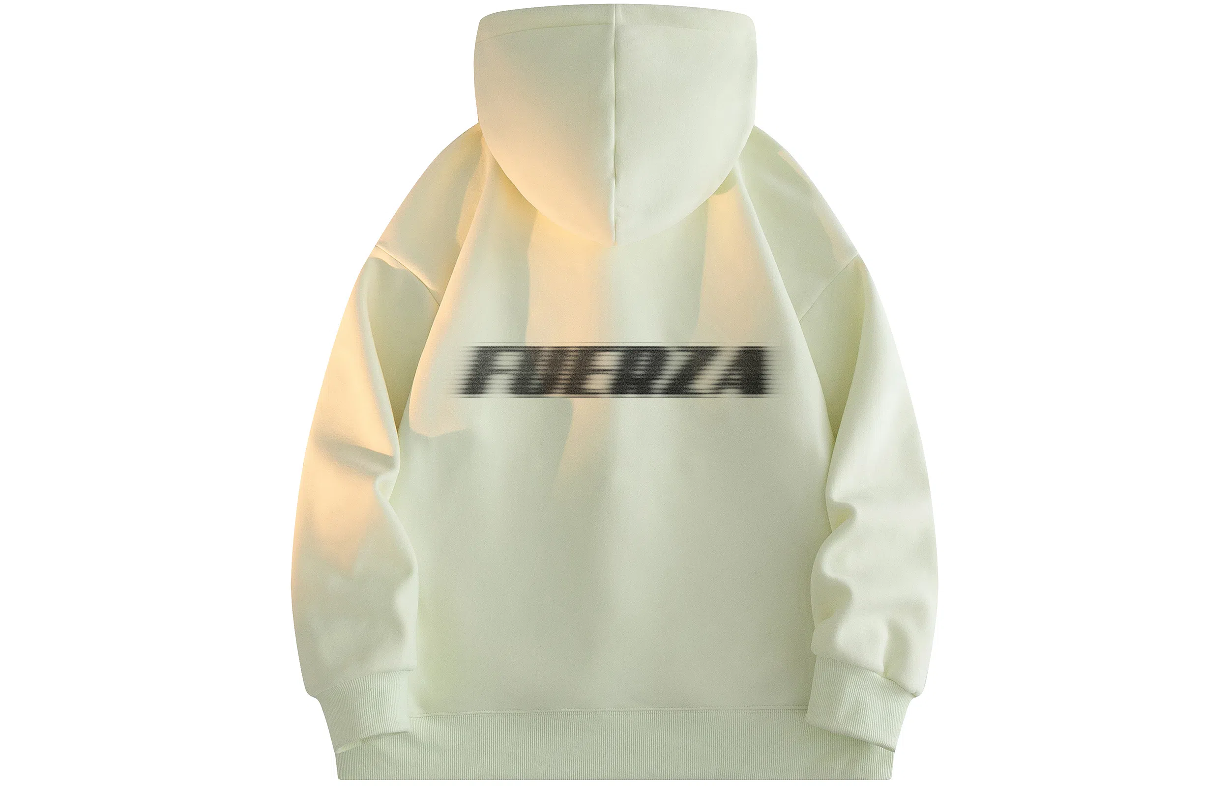 FUERZA Logo