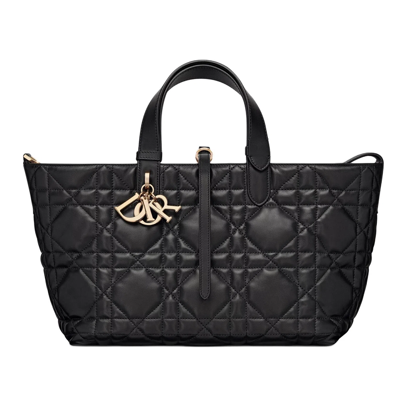 DIOR Toujours