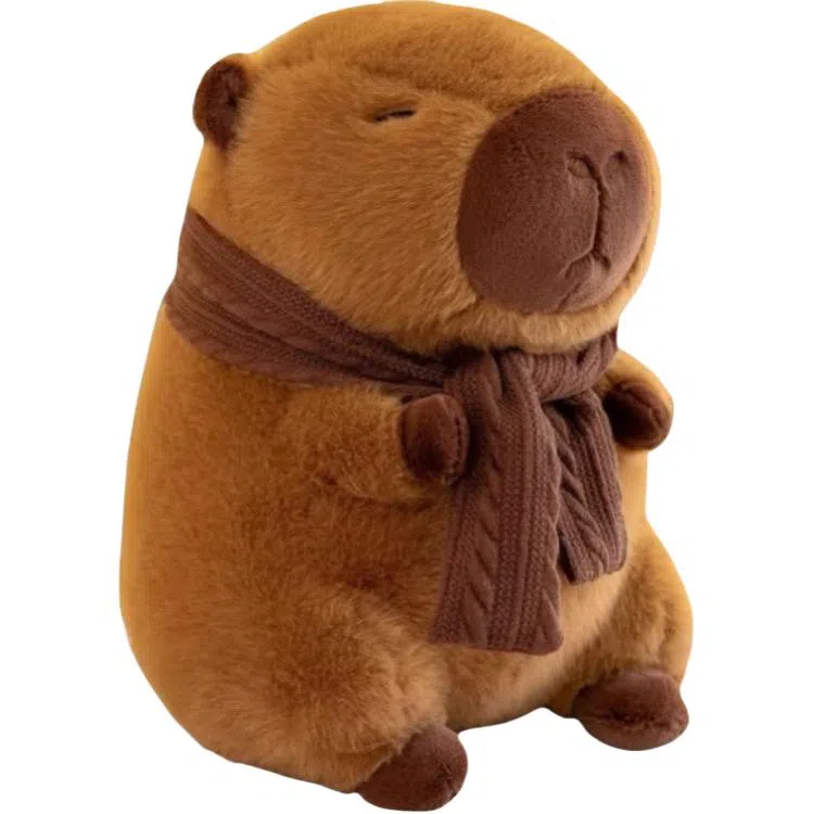 25cm35cm45cm55cm90cm