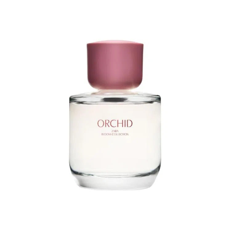 ZARA Orchid EDP