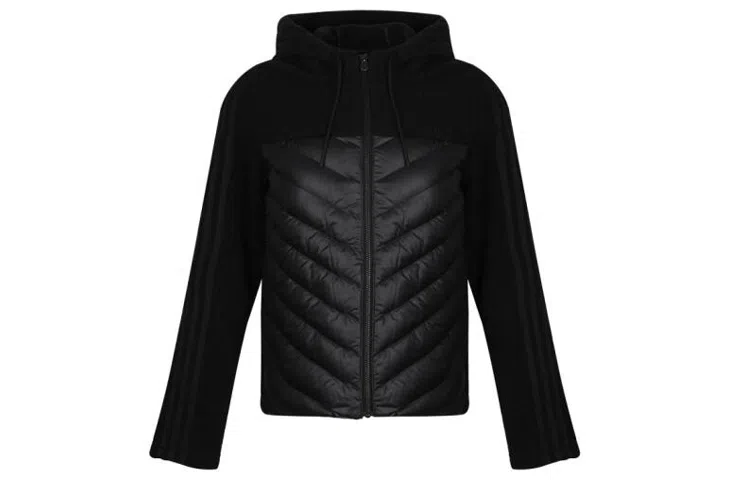 adidas neo W DLY DWN JKT