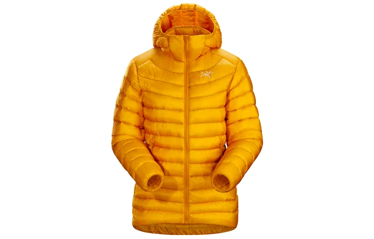 Arcteryx Cerium LT Hoody