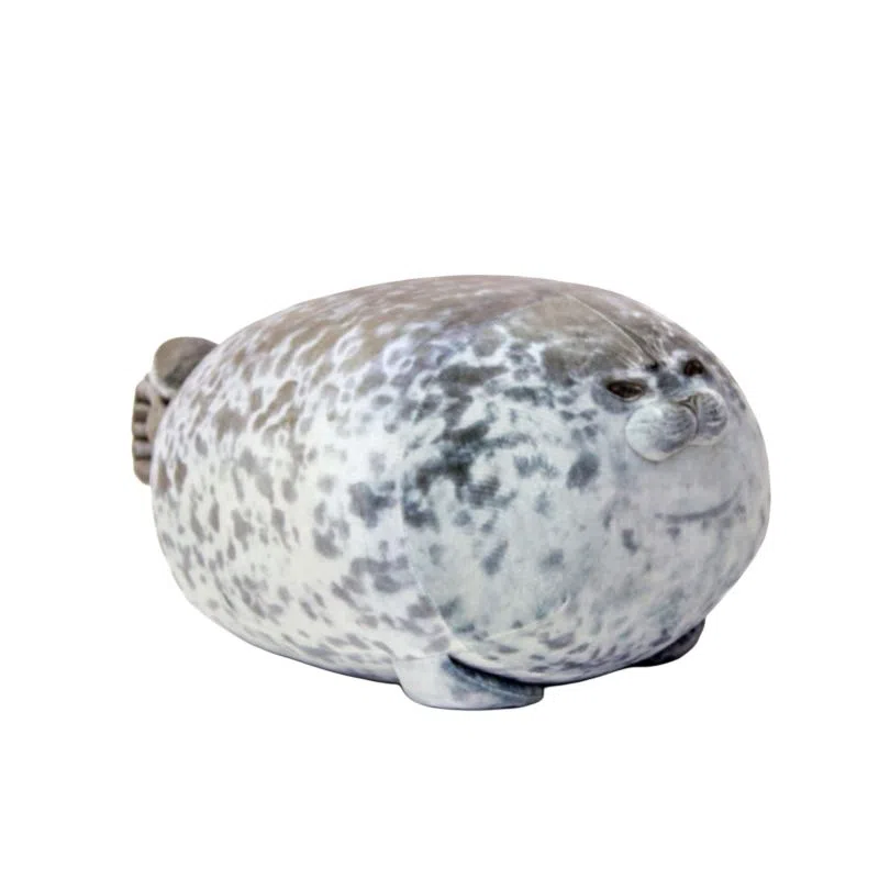 20cm40cm60cm80cm100cm