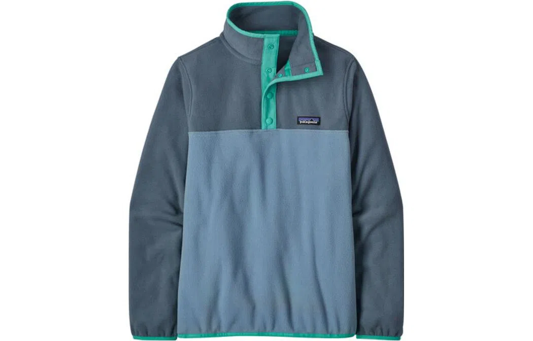 patagonia W'S MICRO D SNAP-T PULLOVER Logo