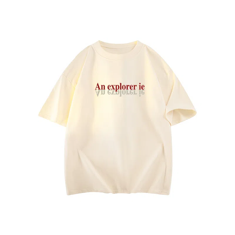 IE logoT