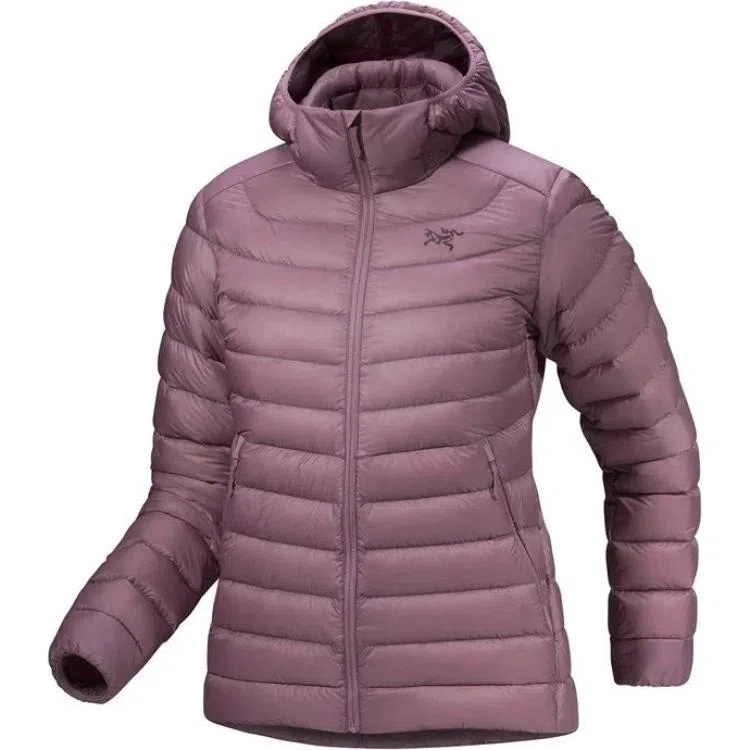 Arcteryx Cerium Hoody Logo