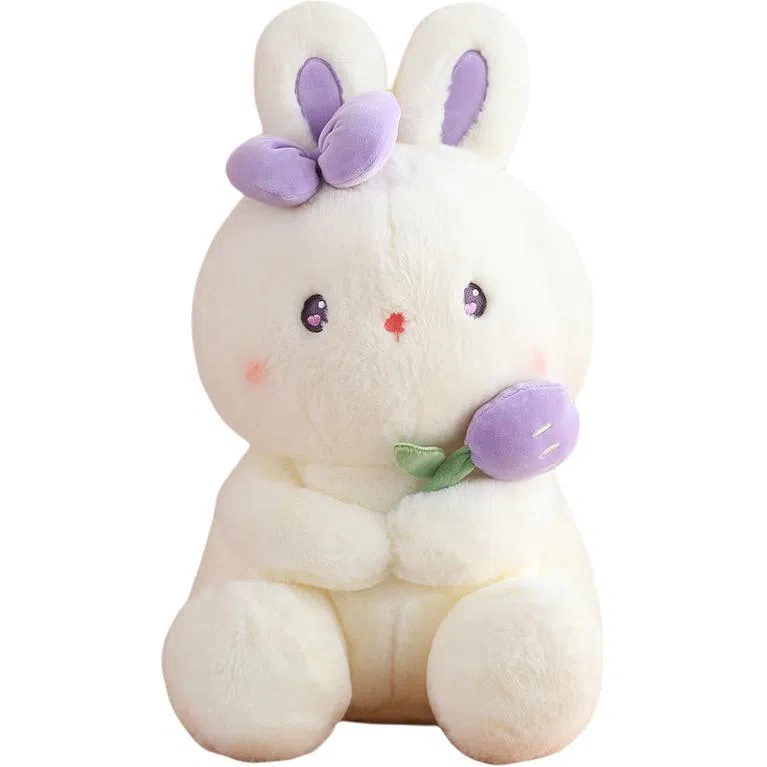 25cm40cm55cm50cm70cm